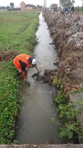 Jasa Pembersihan Gudang,Rumah,Kebun Dll