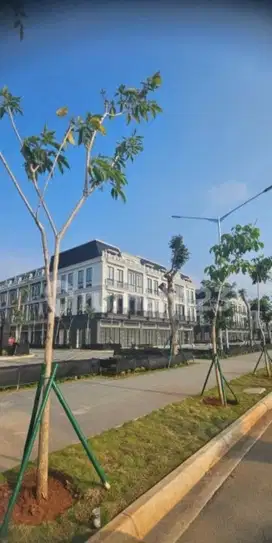 Rukan Harvard Pik2 Termurah Bisa Lanjut Cicilan