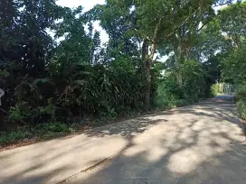 DIJUAL LAHAN KOSONG LUAS 4 HA DI PARAKANLIMA