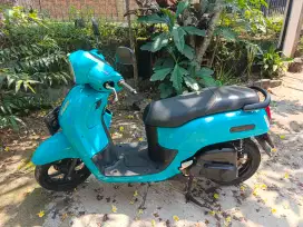 Fazio 2022 Hijau Tosca