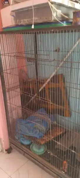 Kandang kucing oktagon