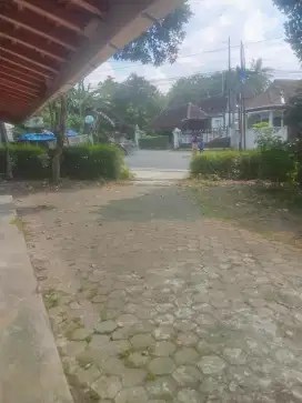 Tanah dan rumah di sewakan pertigaan jl.nanggulan Mendut Banjar Arum