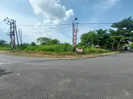 Tanah Dekat Perumahan Spring Hill: SHM