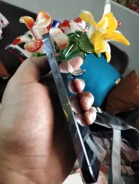 Apple 14 pro iphone mukus