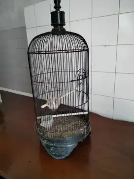 Kandang burung bulat