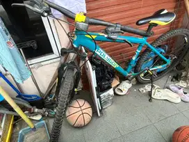 Sepea MTB Polygon