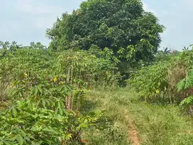 Dijual lahan(tanah) di Karawang Timur