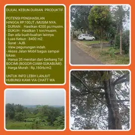 Kebun durian 8400m2 Hasilkan 100jt/musim cuma30 menit dari Tol BOCIMi