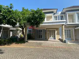 Green Orchid Malang