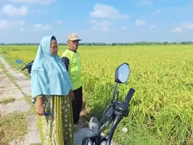 TANAH DI DESA KUMPULREJO, KAPAS, BOJONEGORO