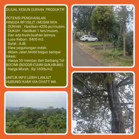 Kebun durian 8401m2 hasil 100jt/panen lokasi 35 menit dr Tol BOCIMI