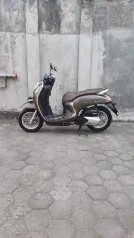 Honda scoopy 2021 remo