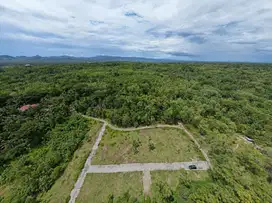 BIKIN Rumah di Jogja, Tanah Dekat Bandara YIA, LUAS