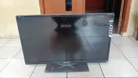 Juql tv polytron