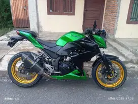 Kawasaki z 250 series