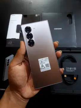 Samsung Z Fold 6 Sein