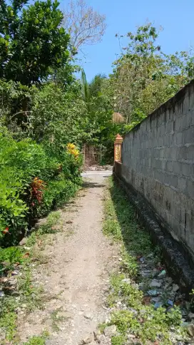 Dijual Tanah Siap Bangun (Kalikepek, Giripeni, Wates, Kulonprogo)