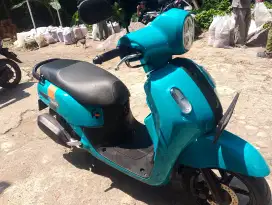Fazzio hijau 2022