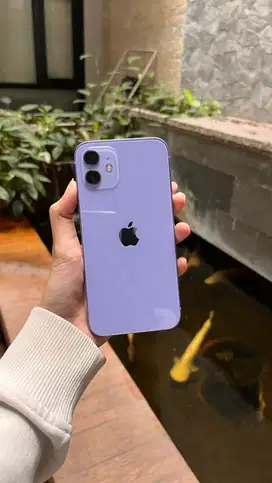 iPhone 12 128GB Ungu iBox