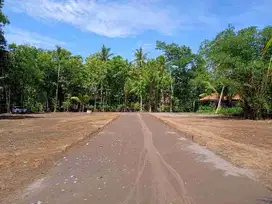 Tanah 100 JT-AN Dekat UNY Wates Kota, SHM On Hand Siap AJB