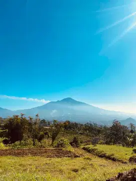 TANAH KAVLING SELANGKAH DARI KAMPUS UIN 3 KEDOKTERAN