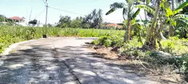 TANAH PEKARANGAN VIEW SAWAH 339M2 DKT JL RAYA PARANGTRITIS.JK13444