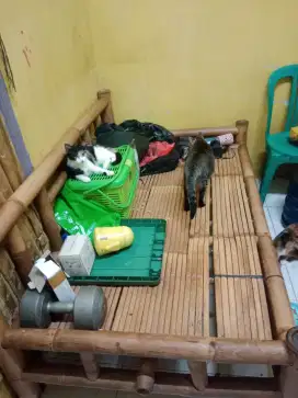 Jual Bale Bambu
