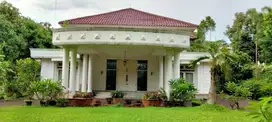 Dijual Rumah Mewah Pondok Labu, 16,5 juta Rumah luas jakarta selatan