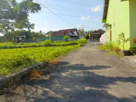 TANAH PEKARANGAN VIEW SAWAH 250M2 3JT/M AREA JAKAL KM 10.JK13445