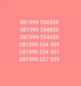 Perdana Cantix XL 081999 55X 55x / 55Xx55