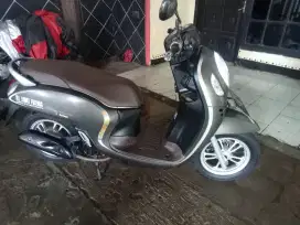 Honda scoopy donat