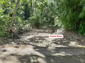 Tanah Strategis Murah di Selatan Tugu Pensil Kulonprogo TP 066