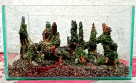 Aquascape + Aquarium Baru P35xL20xT20