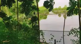 Dijual lahan zona industri di Kaliwungu Kendal Jawa Tengah