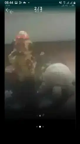 patung kura2 dan keramik borongan murah