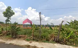 Tanah Akses Jalan Utama di Ngetos Kab Nganjuk Cocok Untuk Perumahan