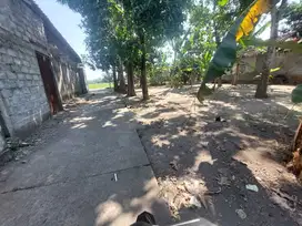 Tanah Pekarangan Hook Selatan Lapangan Trirenggo Bantul TP 068