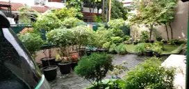 Dijual Rumah 3BR Jl. Ciujung Jakarta Pusat
