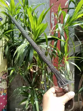 Keris jalak sangu tumpeng original sepuh