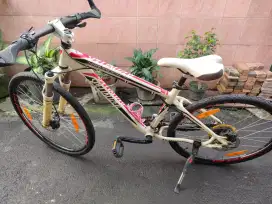 SEPEDA MEREK Specialized