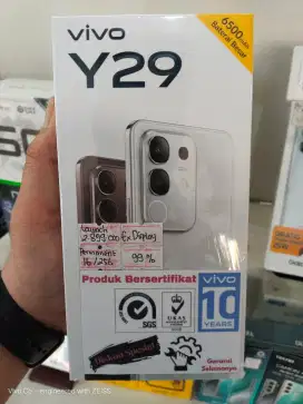 Vivo Y29 8+8/256 GB Ex Display