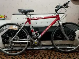 Federal competition ALLOY