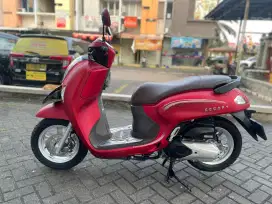 Scoopy Prestige (2024(