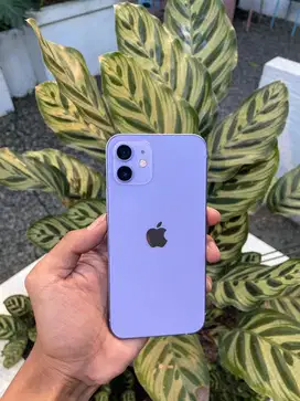 iPhone 12 64gbb