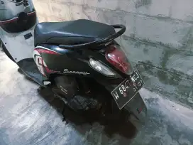 Scoupy 2016 plat w sda kota