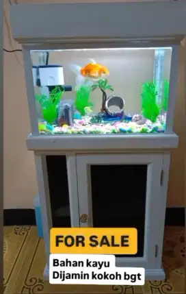 Jual aquarium lengkap