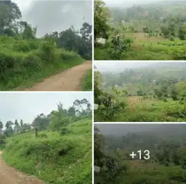 Jual tanah murah Ciwidey kabupaten bandung