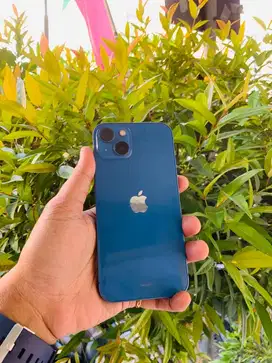 IPhone 13 128gb iBox Like New
