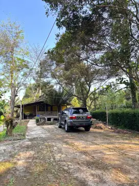Jual murah villa dengan tanah yang luas.
