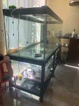 Aquarium besar dengan kaca super kuat